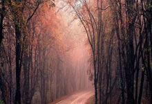 若昂-内维斯：丹麦表现得更好；足球的美丽之处在于充满逆转.