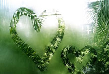 药厂高层在德国杯出局之后发长文安抚球迷,并承诺竞争德甲冠军.