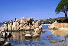 电讯报:各俱乐部改变策略,除萨拉赫和哈兰德外英超缺少顶级球星.